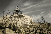 Kuberg Freerider 20 Electric Dirt Bike